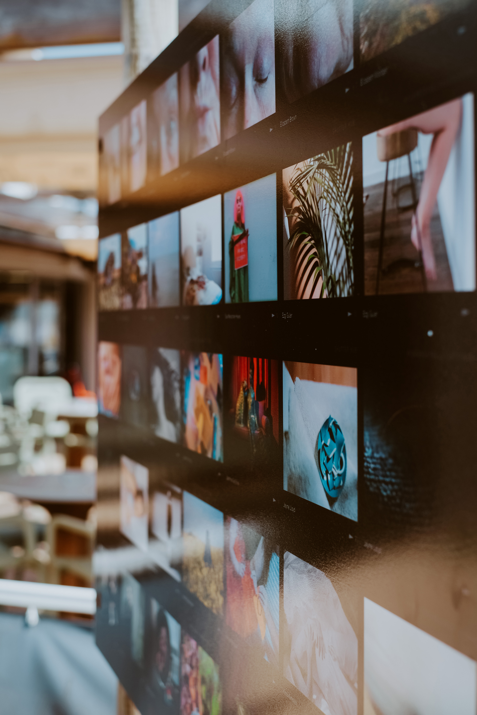close up photograph of an exhibition panel board displaying photographs in an outside space