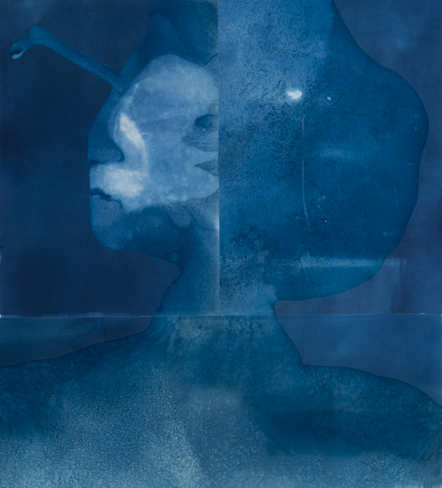 A large square abstract cyanotype print made up of three unique prints that have been made at the sea shore. The end result evokes a female face neck and shoulders.