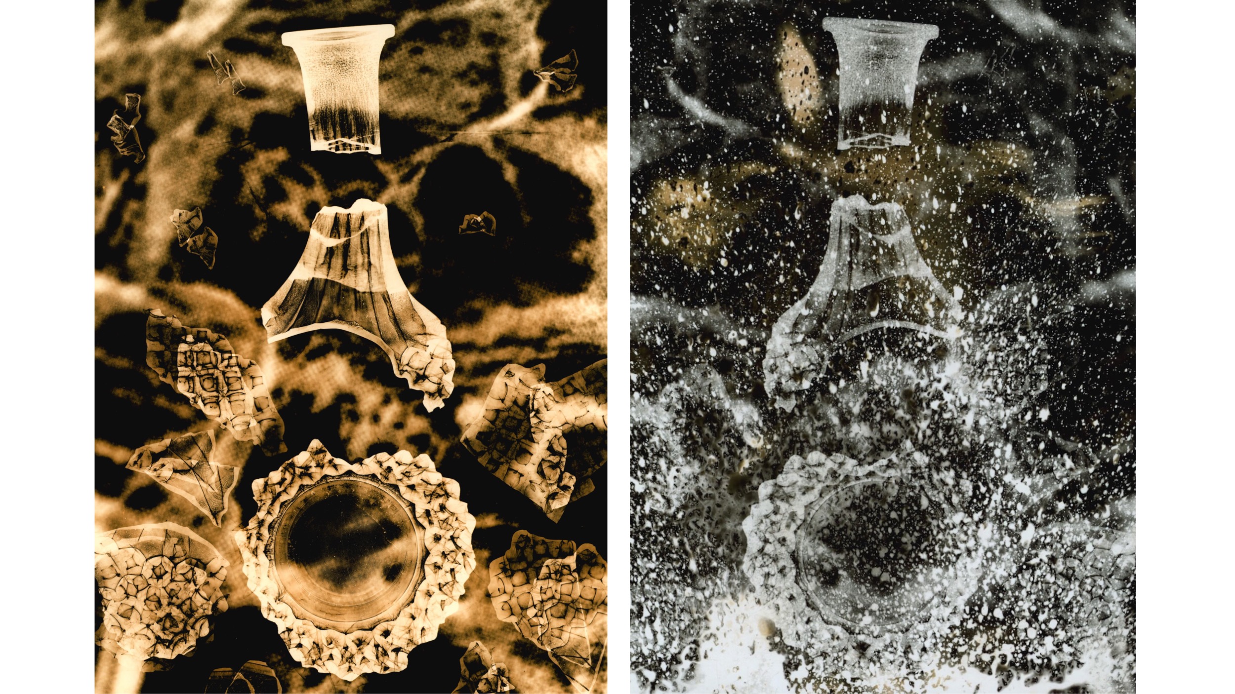 two versions of the same image (left brown in tone - Lith print), right black and white - chemigram) pictured side by side. The image is of a decanter that has been smashed into sections surrounded by pieces of decanter glass - some of the pieces appear in multiple positions to suggest movement. The background of the image contains a close up view of loose connecting tissue