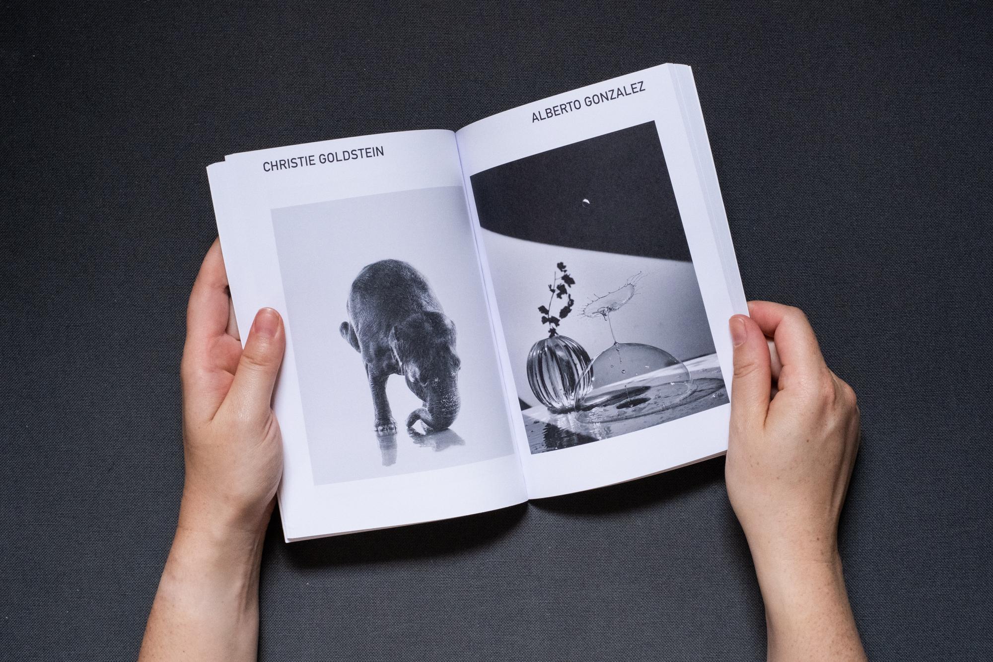 Photograph of hands holding a book against a dark grey fabric background. A double page spread is shown, on the left page text says 'CHRISTIE GOLDSTEIN' at the top and there is a black and white photograph below of an elephant balancing on her trunk and front feet doing yoga. On the right page text says 'ALBERTO GONZALEZ' and there is a black and white photograph below of a bubble and a droplet.