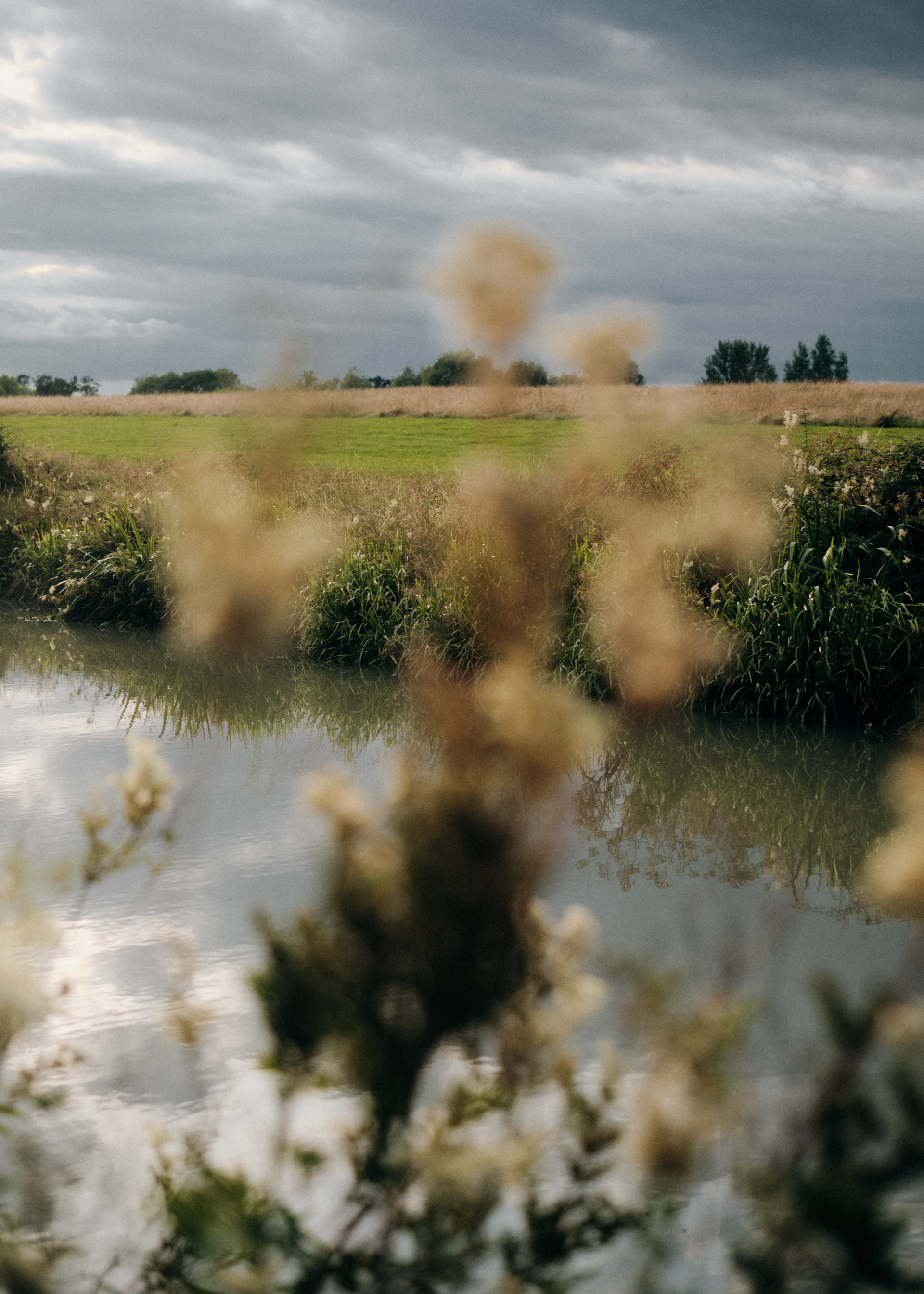 Photograph of a landscape with fields and canal. in the foreground is a out of focus plant. grey stormy clouds overhead