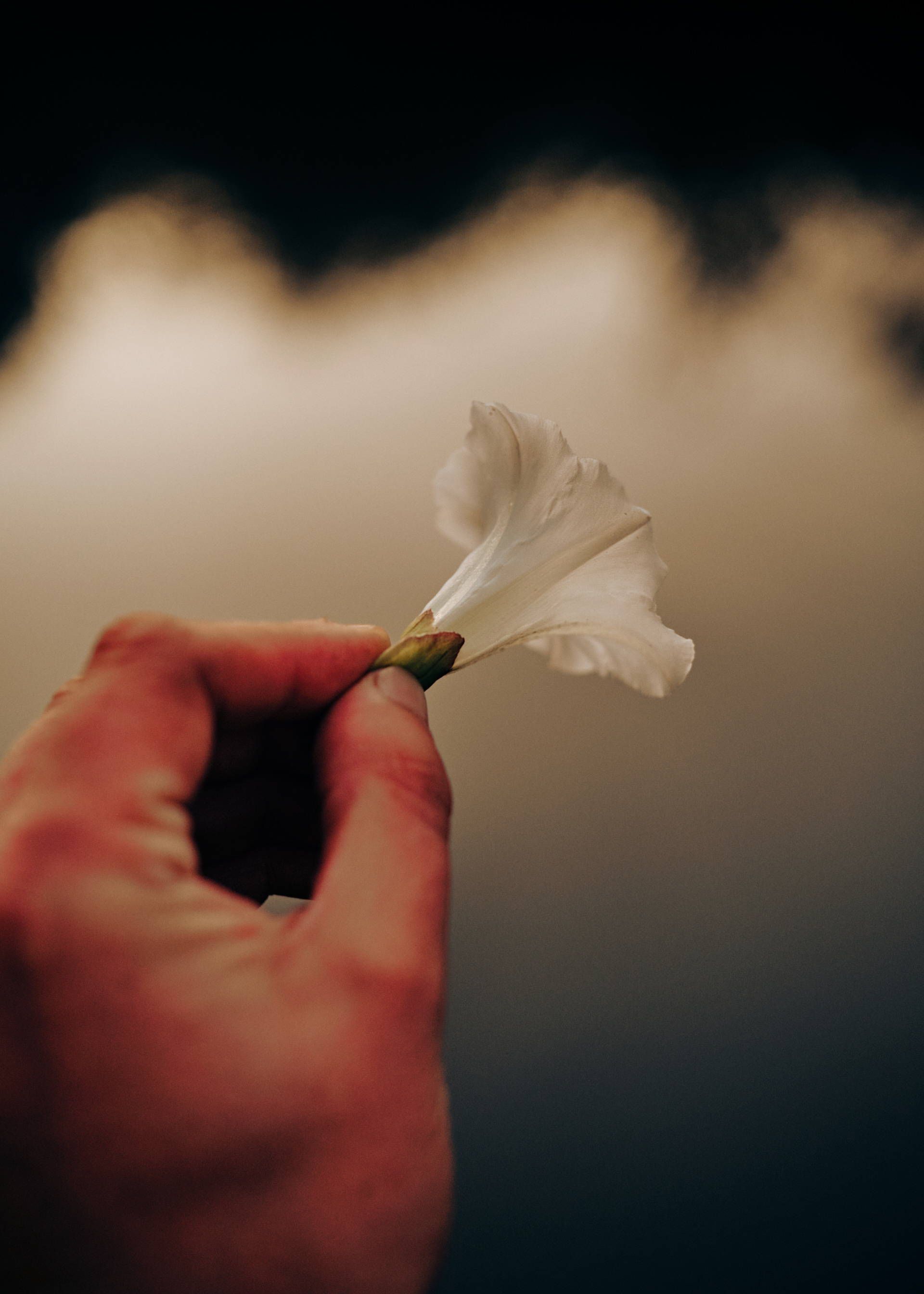 Photograph of a hand holding a flower against the backdrop of water.