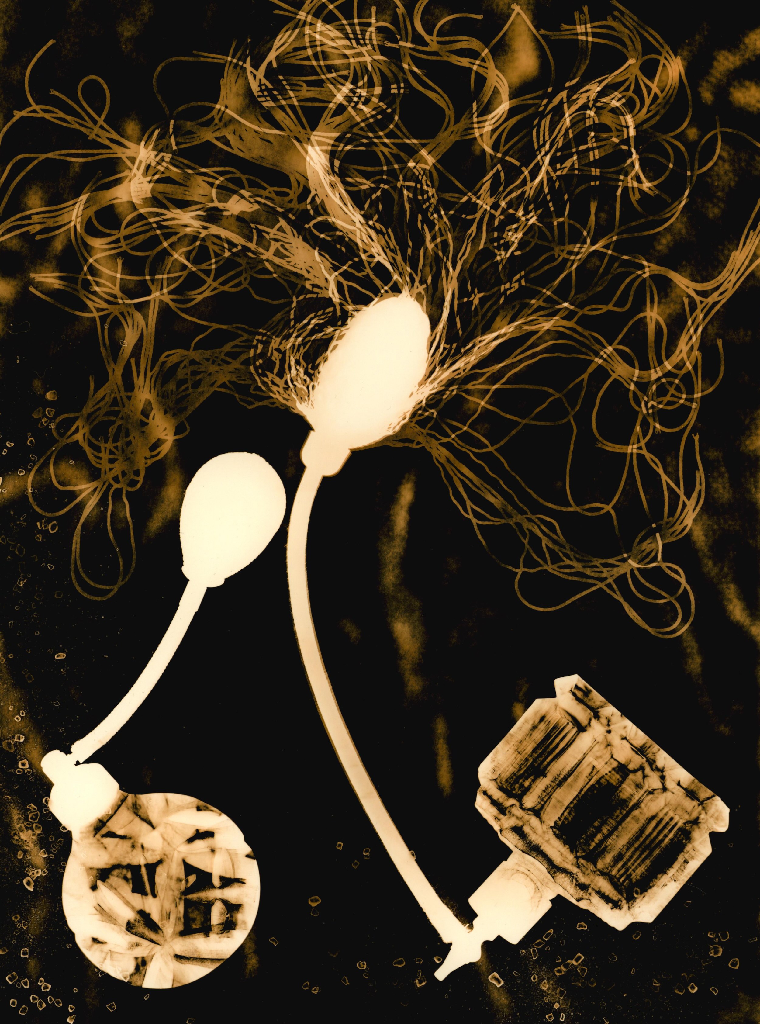 two glass perfume bottle atomisers are located at the bottom of the picture with puffers positioned towards the top of the image. One of the atomisers has a fanned out string tassel. The background of the image contains a close up view of embryonic mucus connecting tissue and salt crystals