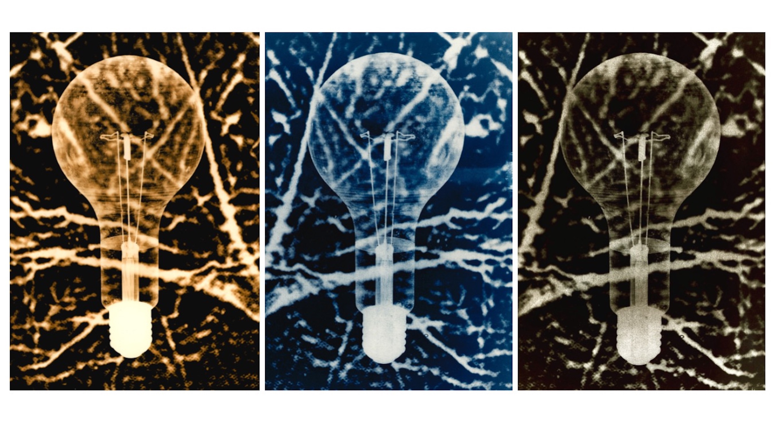 hree versions the same image (left brown in tone - Lith print, centre blue in tone - Cyanotype print, right black and white - Platinum print) of a theatre lantern light bulb. The background of the image contains a close up view of a motor neurone
